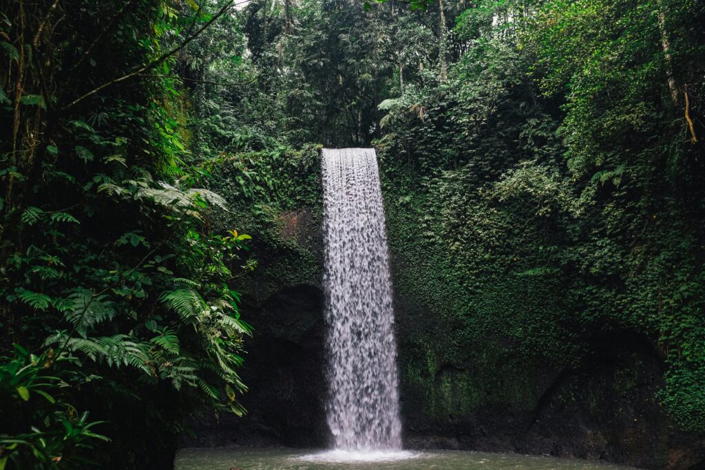 tempat wisata bali viral 2026