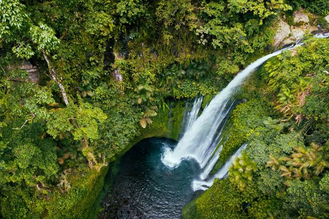 air terjun Tiu Kelep Senaru dikelilingi hutan tropis Lombok