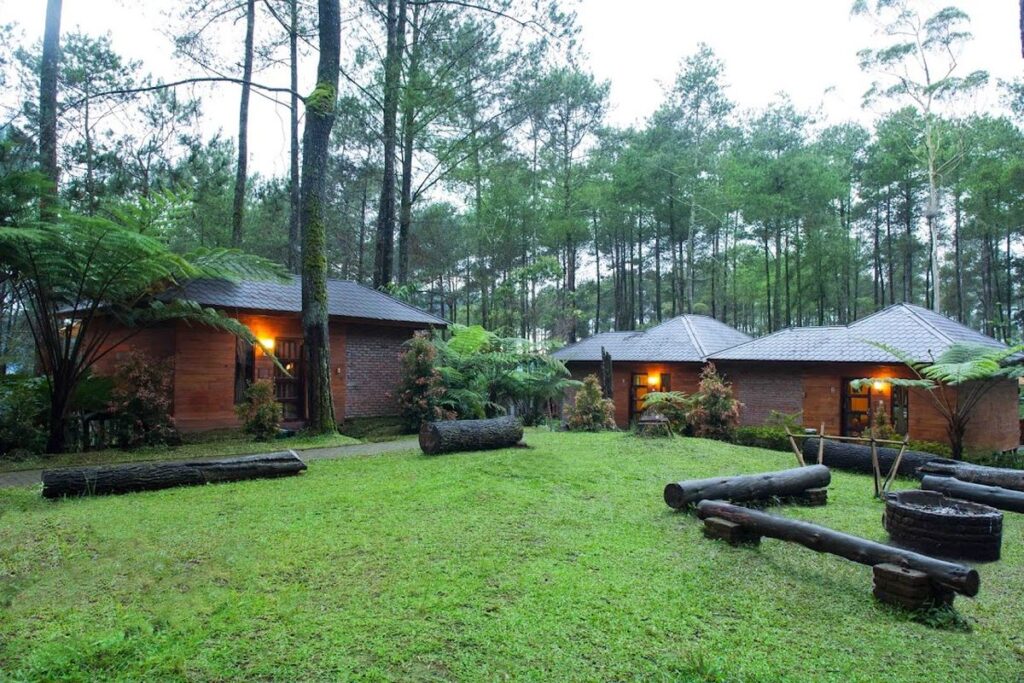 hutan pinus bandung