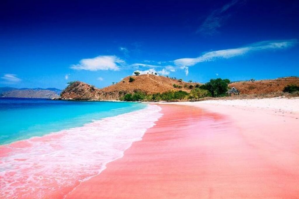 pasir pink alami di Pantai Tangsi Lombok Timur